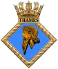 Unit Crest
