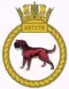 Unit Crest