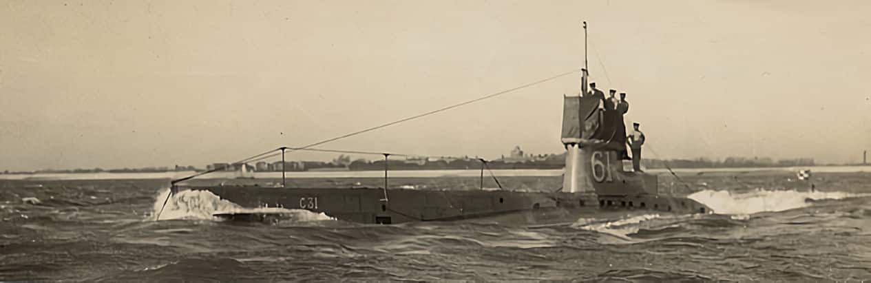 C31